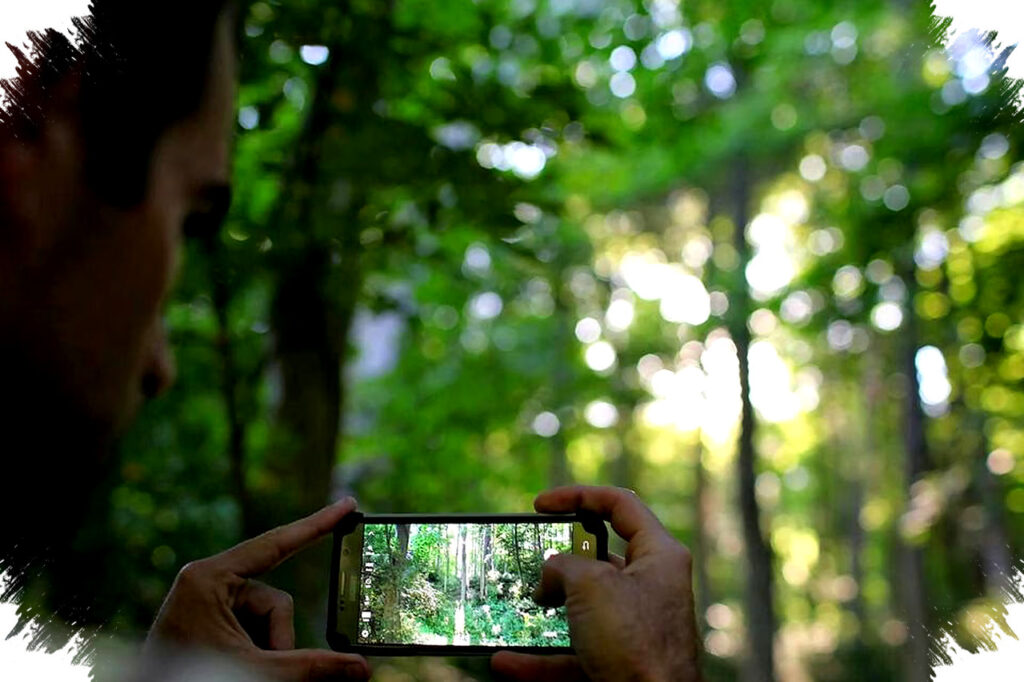 Lensa Kamera HP Kotor Bikin Foto Kusam, 5 Cara Sederhana Agar Tetap Jernih