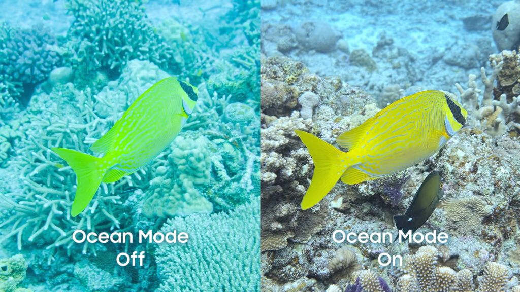 Samsung Galaxy S25 Ultra Diam-Diam Dapat Ocean Mode, Canggih Untuk Terumbu Karang Tapi Hampir Tak Berguna Bagi Kebanyakan Orang